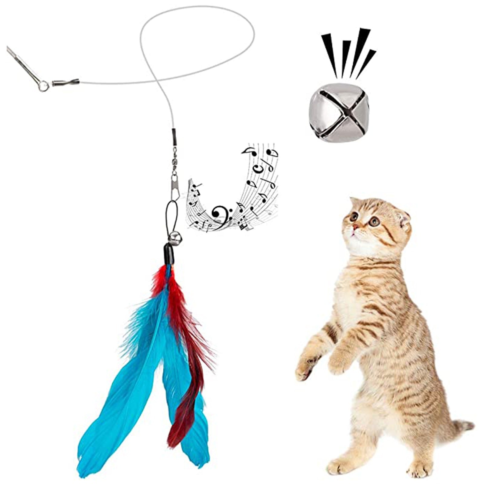 Pet Toys